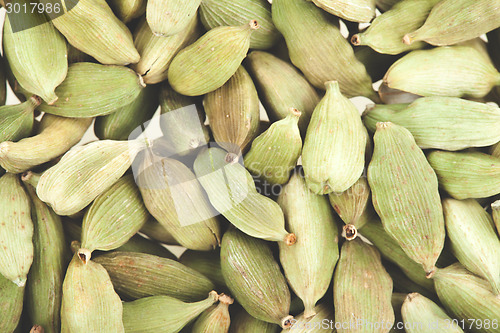 Image of Green cardamom pods