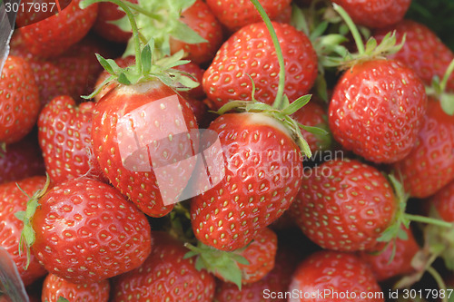 Image of Garden strawberries close-up