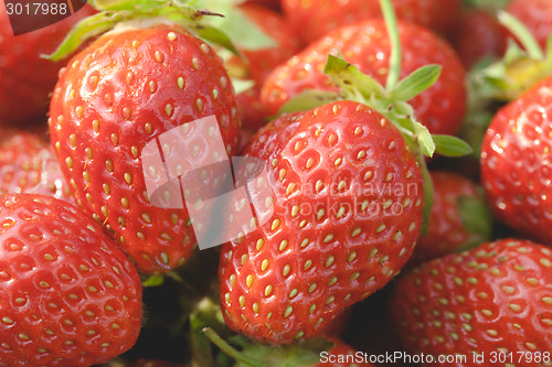 Image of Garden strawberries close-up