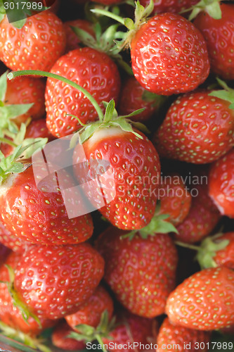 Image of Garden strawberries close-up