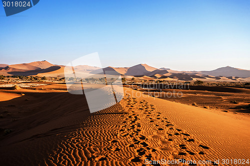 Image of beautiful landscape of Hidden Vlei in Namib desert