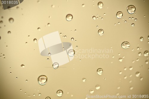 Image of water drops on the window 