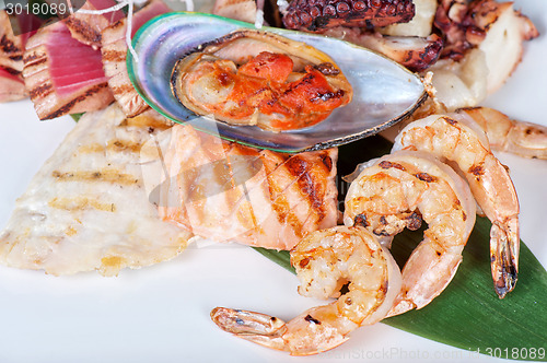 Image of seafood mix