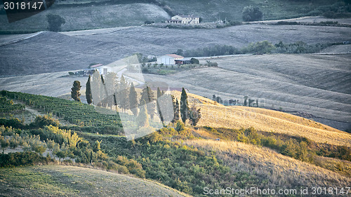 Image of Tuscany