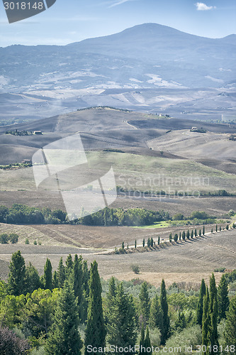 Image of Pienza Landscape