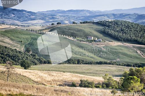 Image of Tuscany Landscape