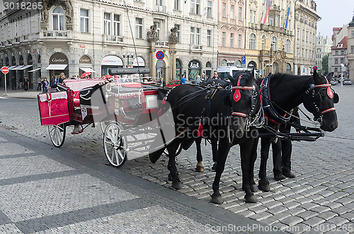Image of Horse Carriage