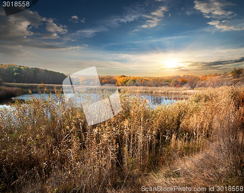 Image of Reeds and lake