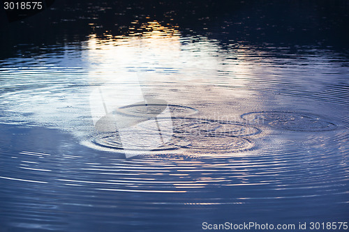 Image of Water circles in the lake