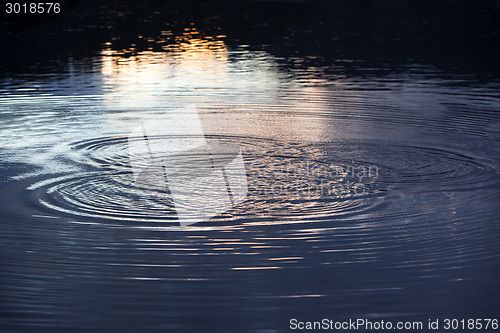 Image of Water circles in the lake