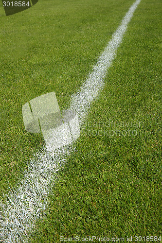 Image of Green soccer field
