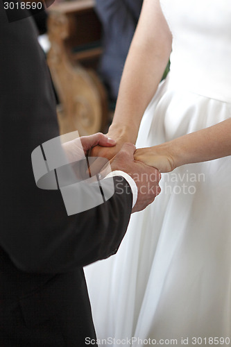 Image of Hands of a bride and a groom holding each other