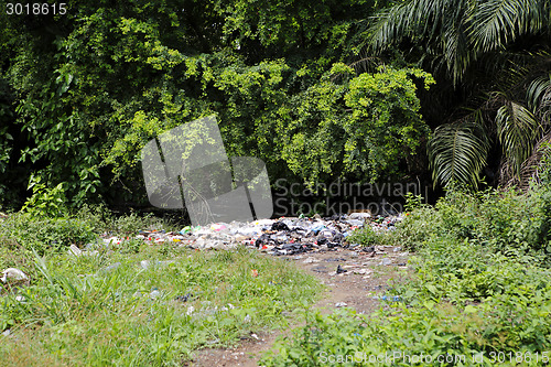 Image of Landfill between trees and palms