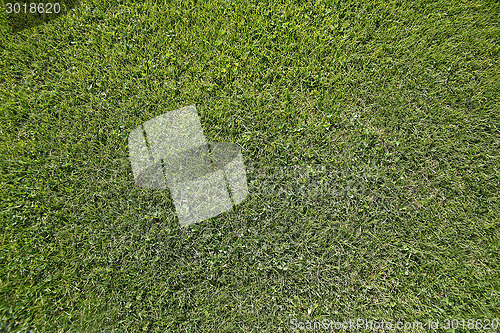 Image of Green field from above