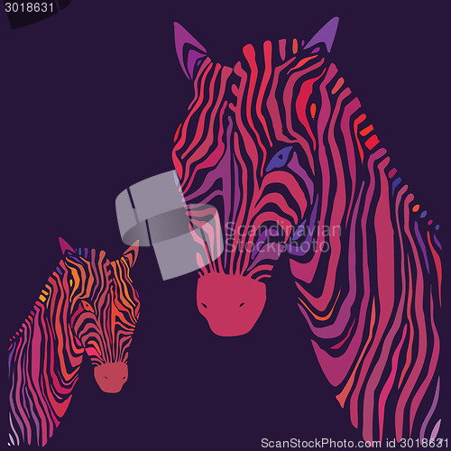 Image of Zebra. Vector illustration.