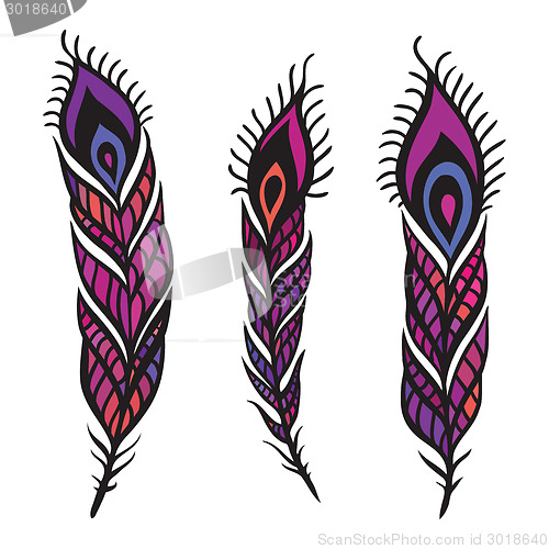 Image of Peacock Feather set.