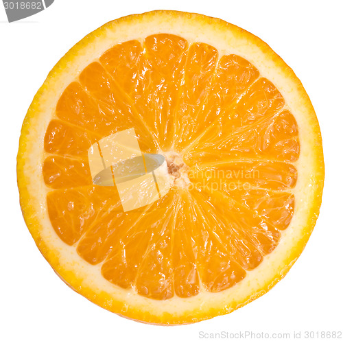 Image of orange slice 