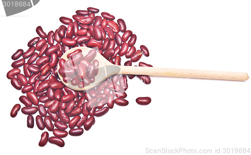 Image of kidney beans