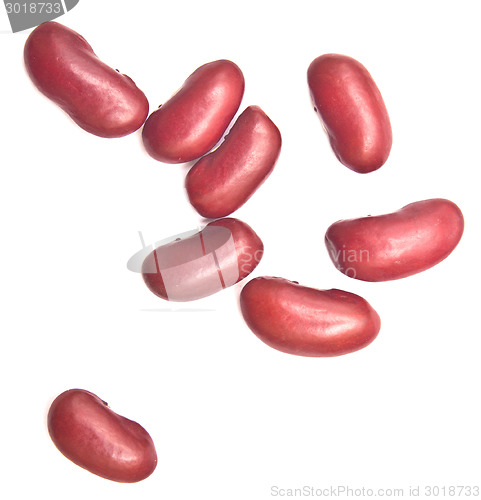 Image of kidney beans