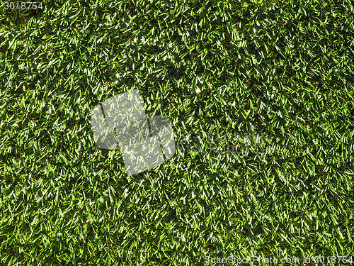 Image of Artificial grass