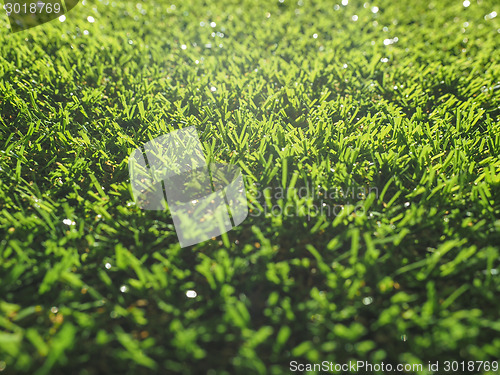 Image of Artificial grass