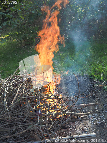 Image of Burning fire