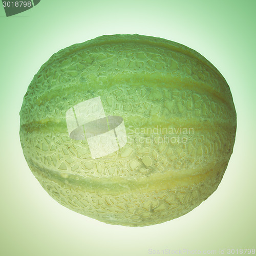 Image of Retro look Melon picture