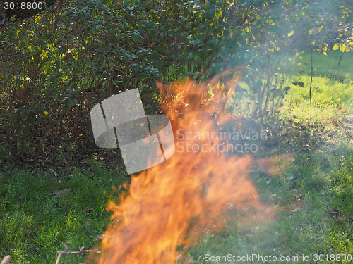 Image of Burning fire