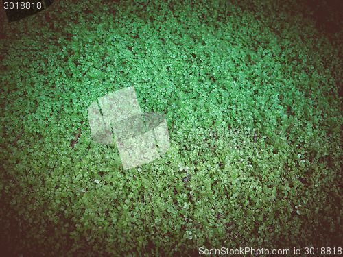 Image of Retro look Leaves background