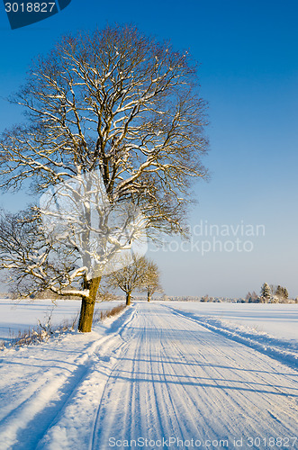 Image of Winter road in the countryside, a beautiful winter day