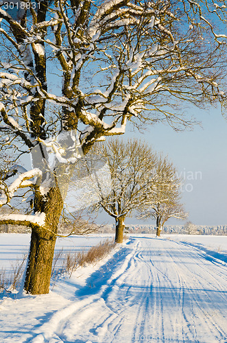 Image of Winter road in the countryside, a beautiful winter day