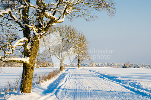 Image of Winter road in the countryside, a beautiful winter day