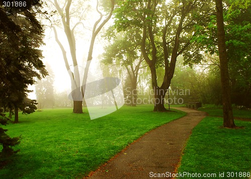 Image of Foggy park