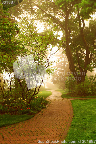 Image of Foggy park