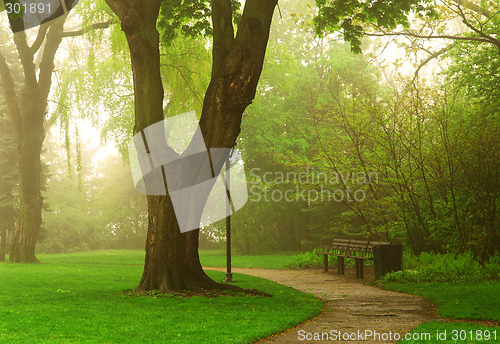 Image of Foggy park