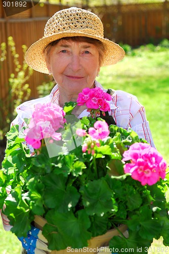 Image of Senior woman gardening