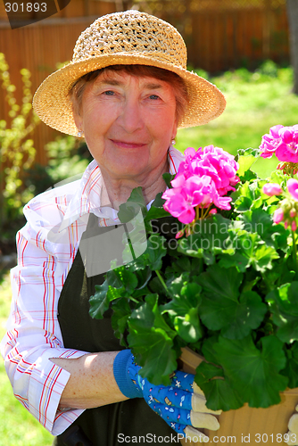 Image of Senior woman gardening