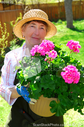 Image of Senior woman gardening