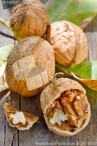 Image of Walnut and leaves 