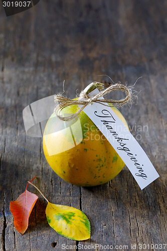 Image of Thanksgiving pumpkin 