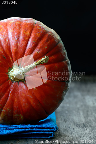 Image of Orange Pumpkin isolated 