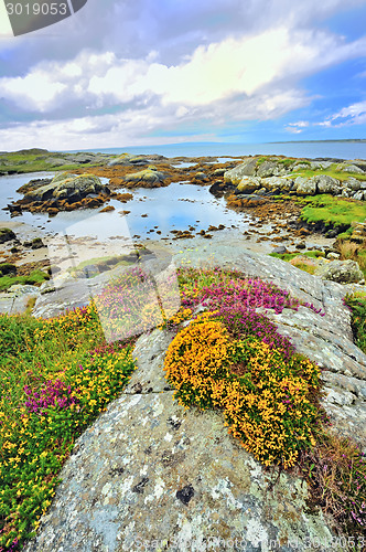 Image of ireland landscape hdr shoot in summer time