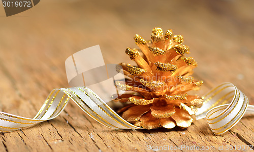 Image of christmas tree of fir cone