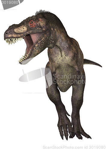 Image of Dinosaur Tyrannosaurus