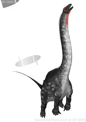 Image of Dinosaur Apatosaurus