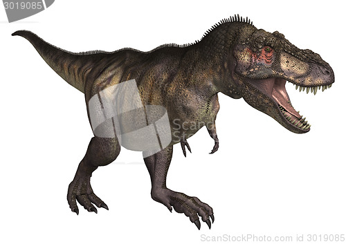 Image of Dinosaur Tyrannosaurus