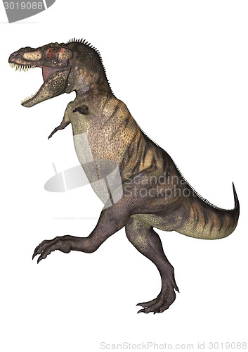 Image of Dinosaur Tyrannosaurus