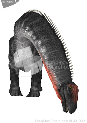 Image of Dinosaur Apatosaurus