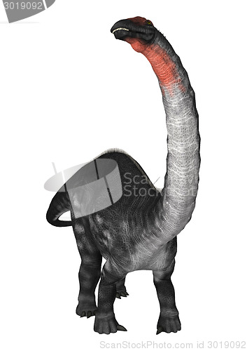 Image of Dinosaur Apatosaurus