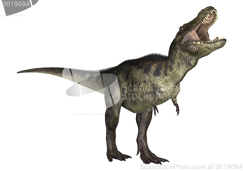 Image of Dinosaur Tyrannosaurus